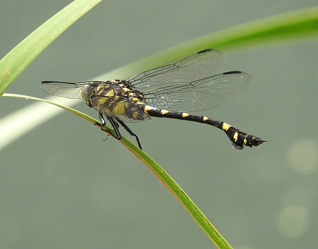 f0378979_16264031.jpg
