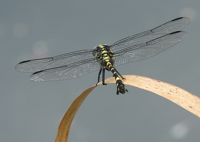 f0378979_16270855.jpg