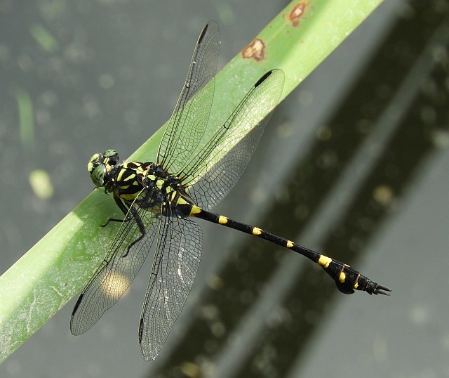 f0378979_16272797.jpg