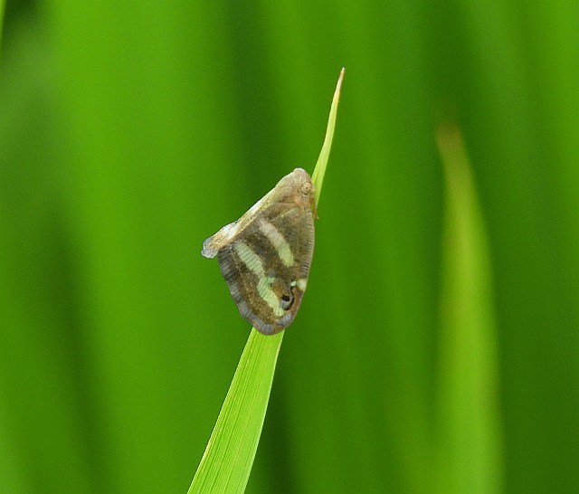 f0378979_17091077.jpg