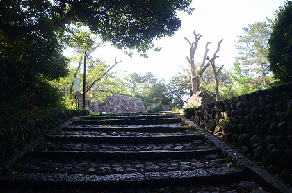 c0229483_1222336.jpg