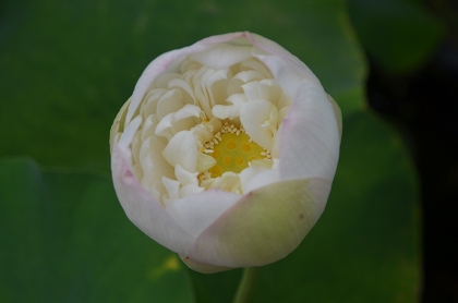 c0229483_2231130.jpg