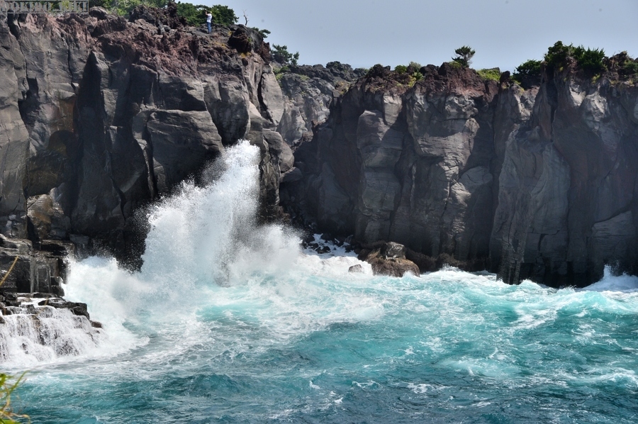 c0220084_16052100.jpg