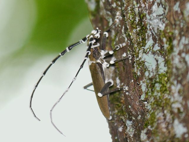 d0088184_22101601.jpg