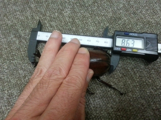f0183484_05490018.jpg