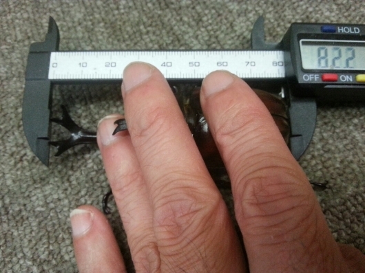 f0183484_05490332.jpg