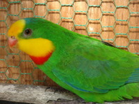 f0244784_15373747.jpg