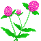 f0229190_14265618.gif