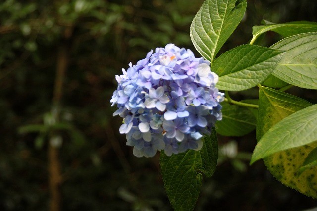 f0374092_10412996.jpg