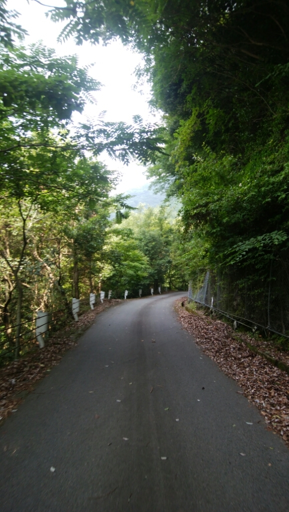 a0348193_00033428.jpg