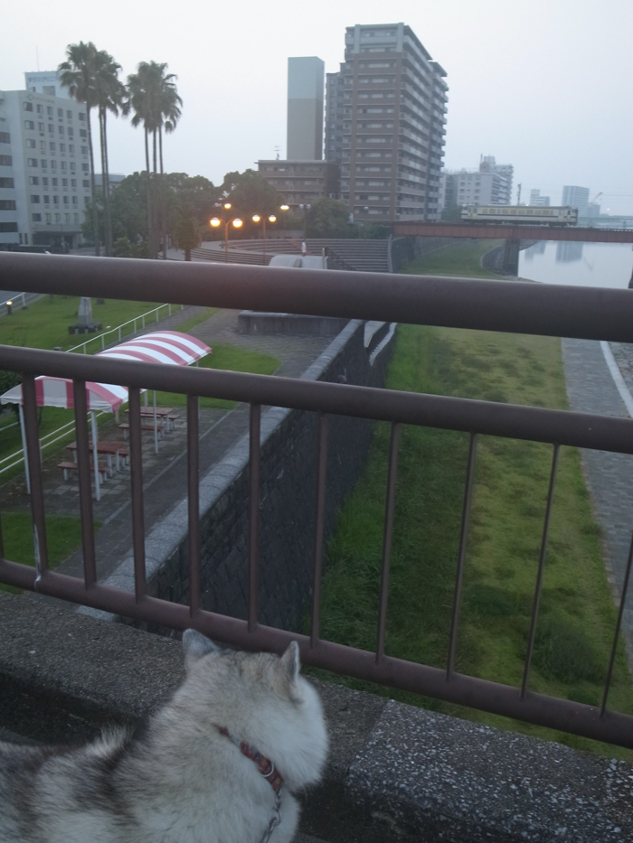 c0049299_22434299.jpg