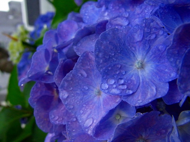 f0157901_1174423.jpg