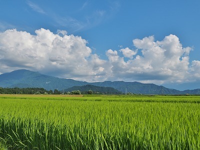 c0336902_19275040.jpg