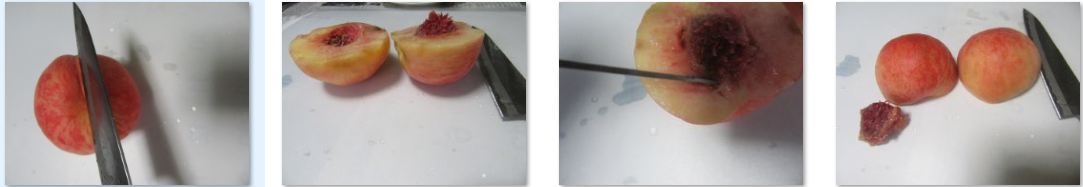 f0231709_09560334.png