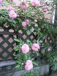 f0325309_11171832.jpg
