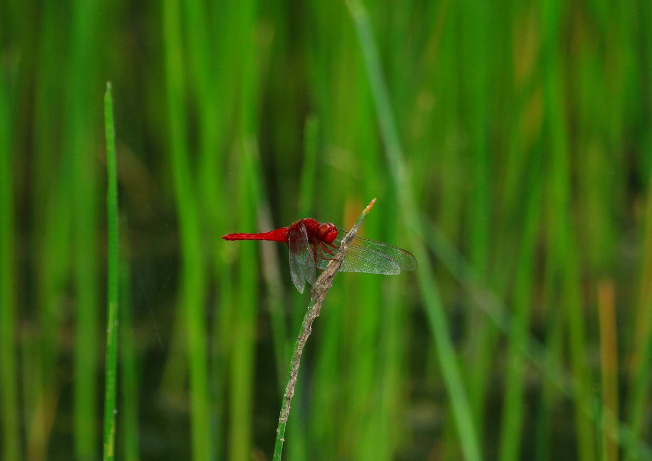 d0360910_04452977.jpg