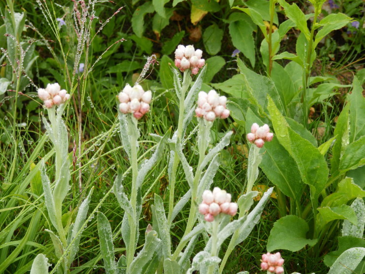 f0219710_20024003.jpg