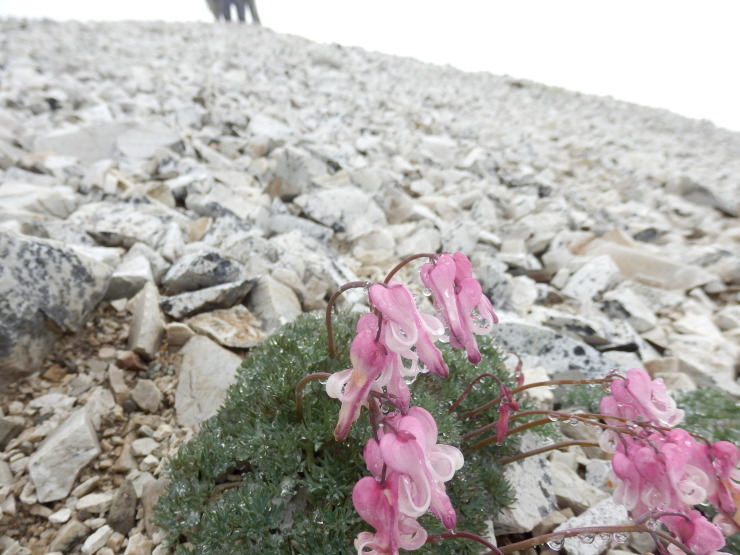 f0219710_20123136.jpg