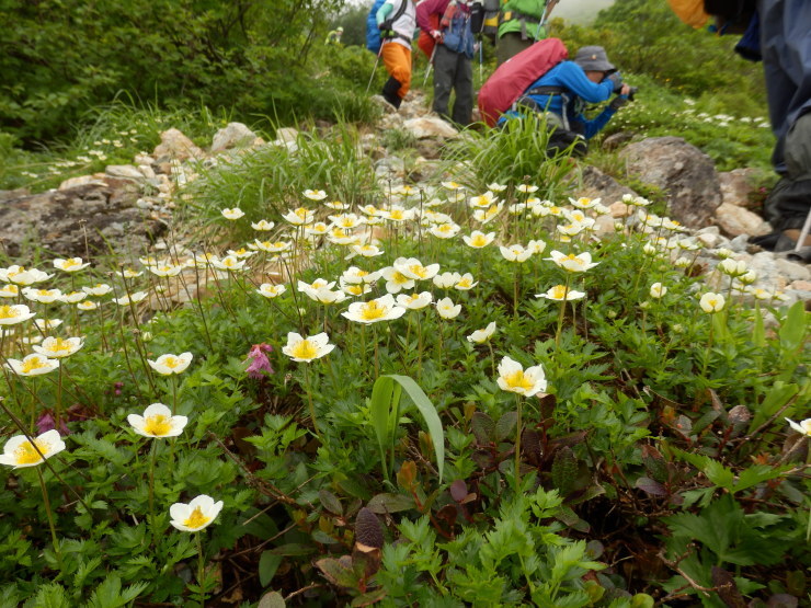 f0219710_20230417.jpg