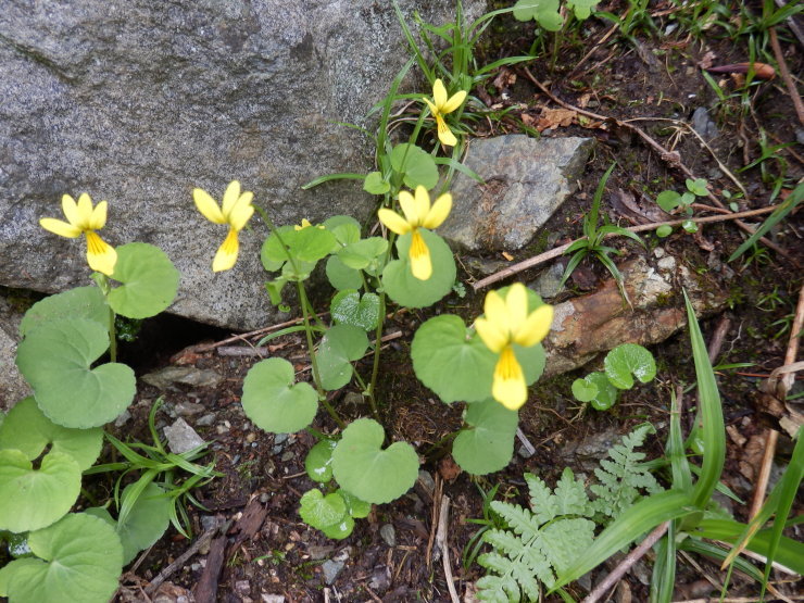 f0219710_20322977.jpg