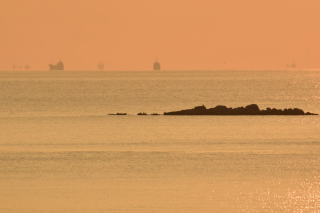 f0368610_21403072.jpg
