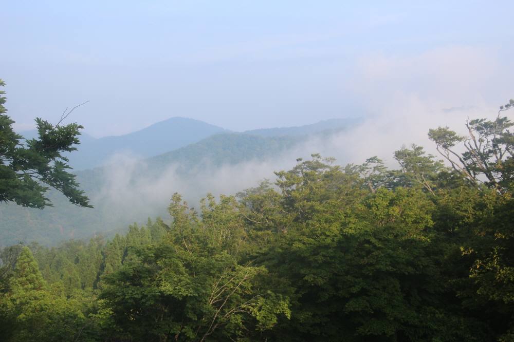 f0212511_22233819.jpg