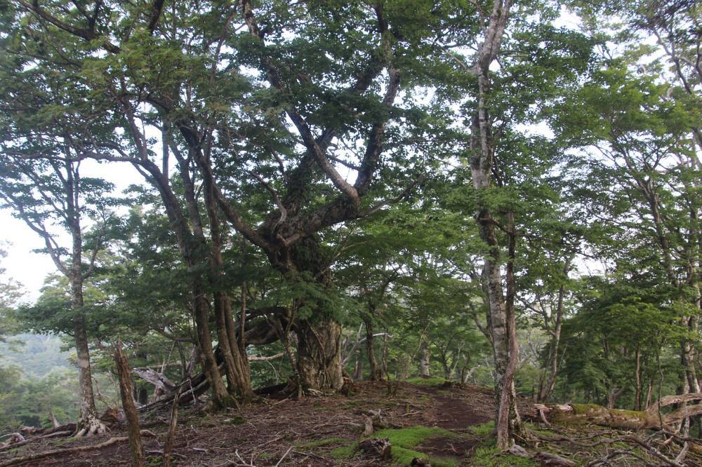 f0212511_22243805.jpg