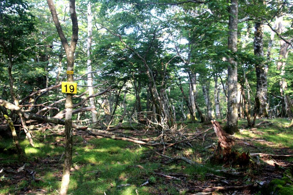 f0212511_22250724.jpg