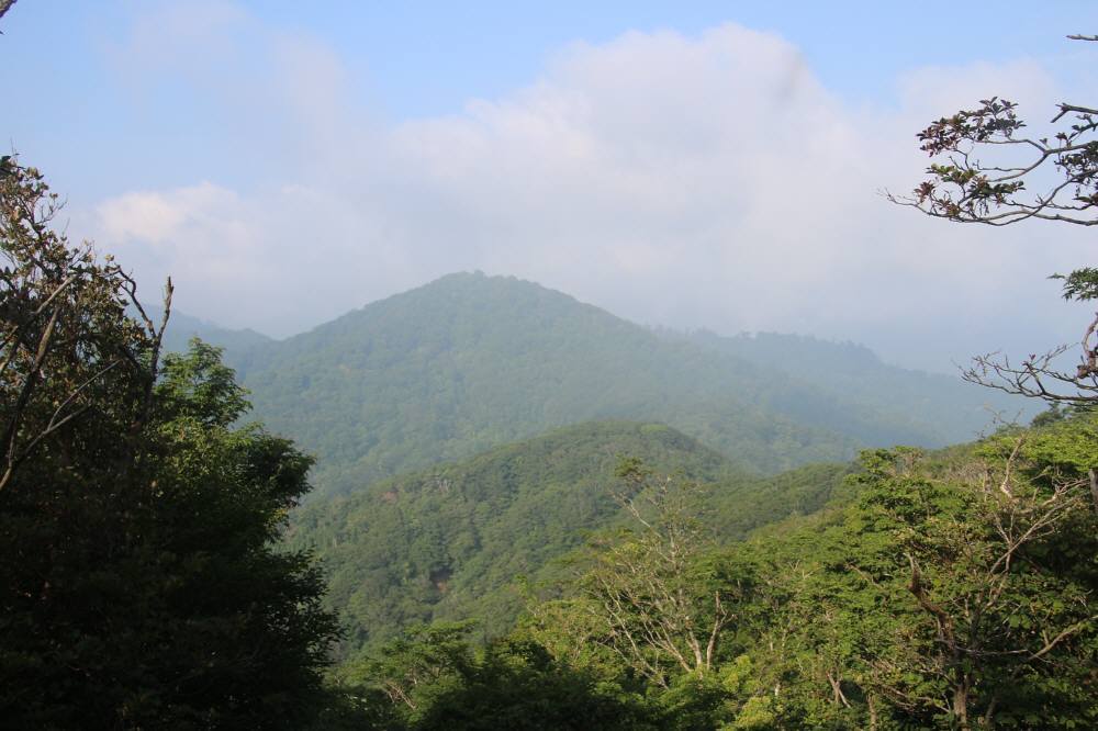 f0212511_22260891.jpg