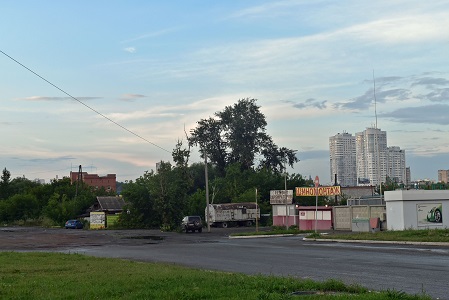 a0151913_5454051.jpg