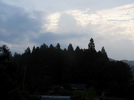 e0048413_17201422.jpg