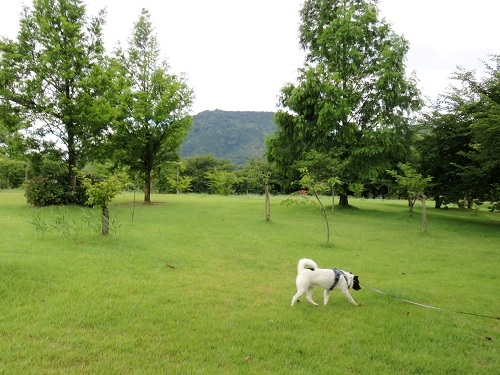 c0084117_11182451.jpg