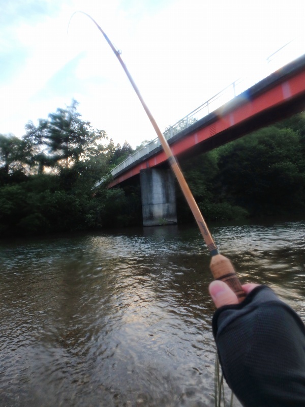 d0091323_12294168.jpg