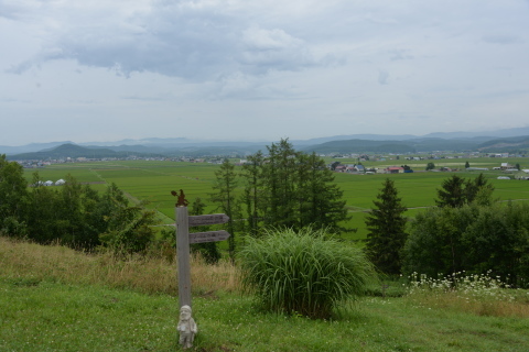 e0335926_20362124.jpg