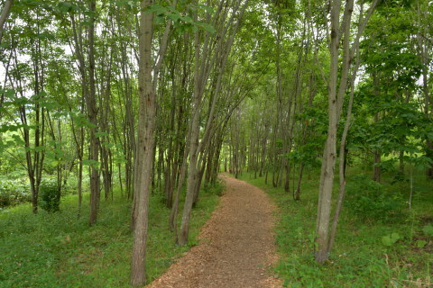 e0335926_20372122.jpg