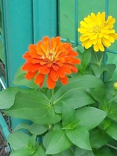 c0311729_16120729.jpg