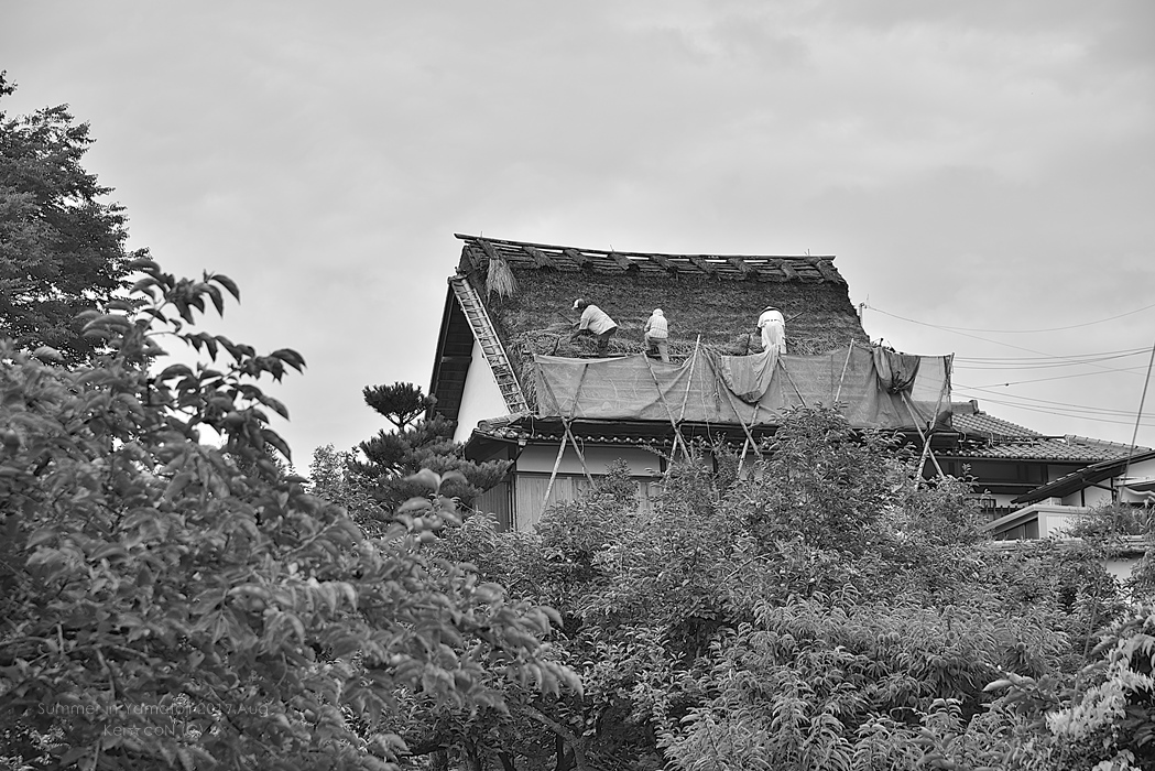 a0212036_10243428.jpg
