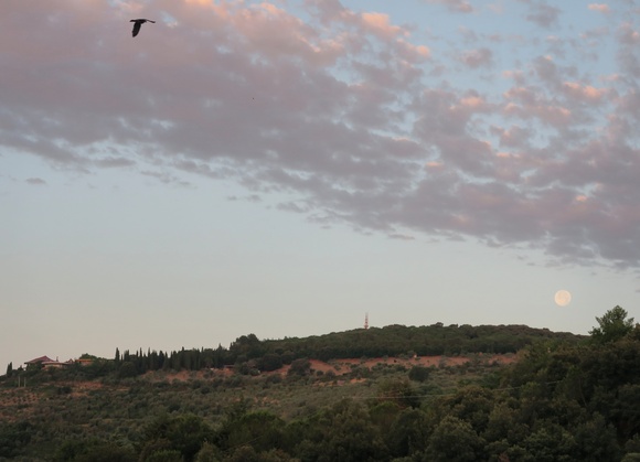 f0234936_77830.jpg