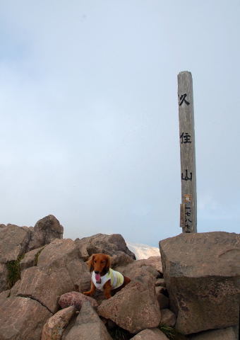 e0056537_23152120.jpg
