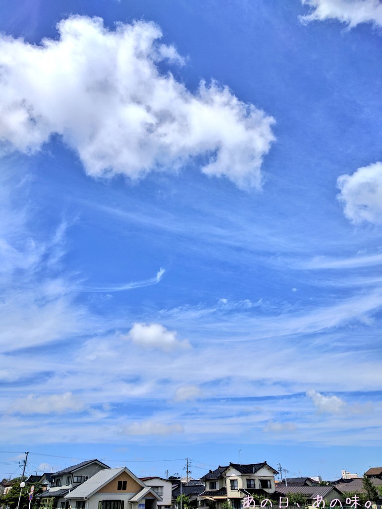 a0305046_08574827.jpg