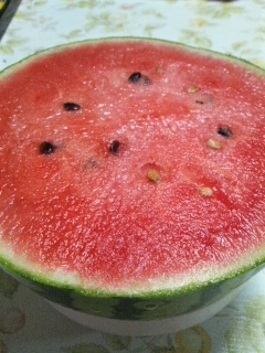 e0080346_12474551.png