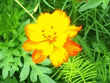 d0131847_17363637.gif