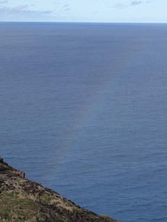 e0138350_12535000.jpg