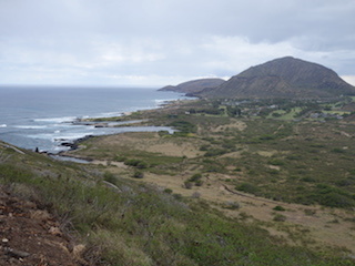 e0138350_12535007.jpg
