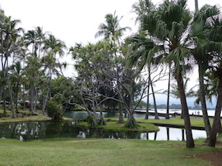 e0138350_20375816.jpg