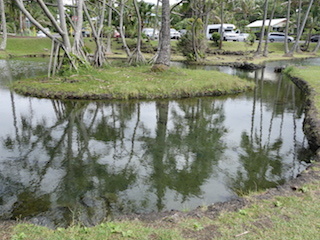 e0138350_20375916.jpg