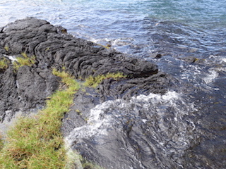 e0138350_20375982.jpg
