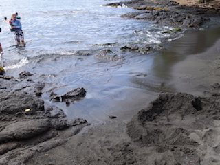 e0138350_20382762.jpg