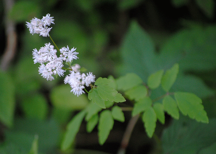 a0001354_23281836.gif