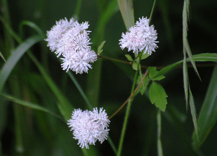 a0001354_23284201.gif